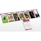 Chroni: L'Histoire à L'École Cartes