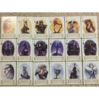 Le Renard des Bois Cartes