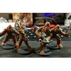 Star Wars: Assaut sur l'Empire - Guerriers Wookies Figurines