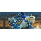 Le Trône de Fer: Le Jeu de Cartes - La Paix du Roi Artwork