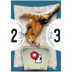 8 Masters' Revenge Carte