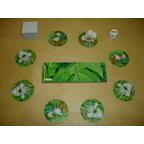 Charly im Zoo Eclate