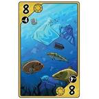 Sea Change Carte