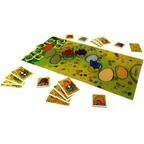 La Course des Tortues Eclate