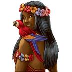 Carcassonne: Mers du Sud Artwork