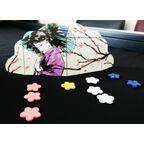 La Légende du Cerisier qui Fleurit Tous les 10 Ans Zoom