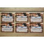 51st State: Master Set - Scavengers Cards