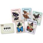 Papillons Célestes Eclate