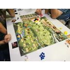 Caylus 1303 Proto