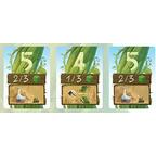 Jack & Le Haricot Magique Cartes