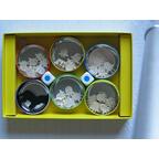 Geißlein, Versteck Dich! Contenu