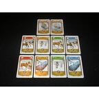 1911: Amundsen vs Scott Cartes