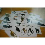 Panicozoo 2006 Cartes