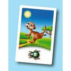 Suricat'Cache Carte