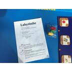 Labyrinthe 1986 Règle