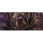 Le Seigneur des Anneaux: Le Jeu de Cartes - La Terre de l'Ombre Artwork