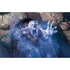 Le Seigneur des Anneaux: Le Jeu de Cartes - Le Fantôme de Framsbourg Artwork