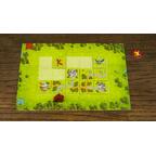 Brains Family: Châteaux & Dragons Eclate