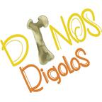 Dinos Rigolos Logo