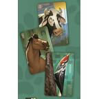 Similo: Animaux Cartes