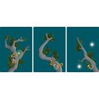 Kodama: Les Esprits de l'Arbre Cartes