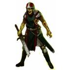 Summoner Wars: Le Royaume Déchu Artwork