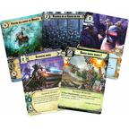 Warhammer 40,000: Conquest - Le Fléau Cartes