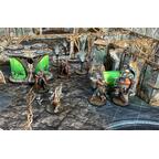 Core Space: First Born Zoom