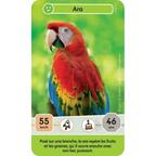 Défis Nature: Junior - Mystères de la Jungle Carte