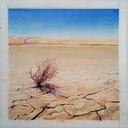 Evolution Climat Artwork