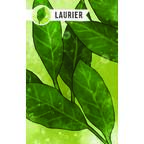 Herbaceous Carte