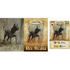 Res Arcana Cartes