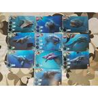 Abyss: Leviathan Cartes