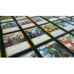 Epic: Le Jeu de Cartes Zoom