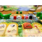 Brazil: Imperial Zoom