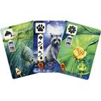 Meadow: Au Fil de l'Eau Cartes