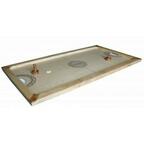 Shuffle-Puck Mango Cover 3d