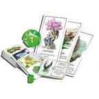 Le Conseil des 12 Eclate