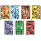 Coloretto: 10 Ans Déjà Cartes