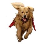 Dead of Winter: A la Croisée des Chemins Artwork