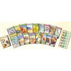 Evolution Cartes