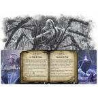 Horreur à Arkham: Le Jeu de Cartes - Tisseuse du Cosmos Artwork