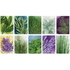 Herbaceous Cartes