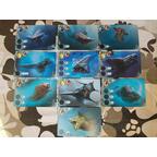 Abyss: Leviathan Cartes