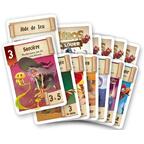 Héros à Louer Cartes