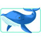 Concept Kids: Animaux Carte