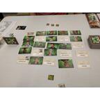 Codenames Duo Eclate