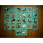 Ratz Fatz: Buchstaben Eclate