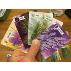 Herbaceous Zoom