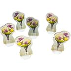 The 7th Continent: Les Racines Volantes Eclate